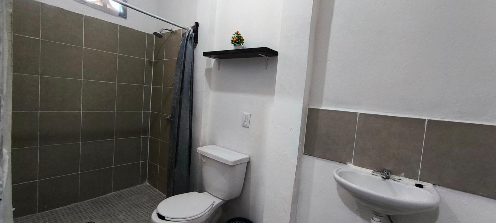 Hotel Casa Luna パレンケ エクステリア 写真